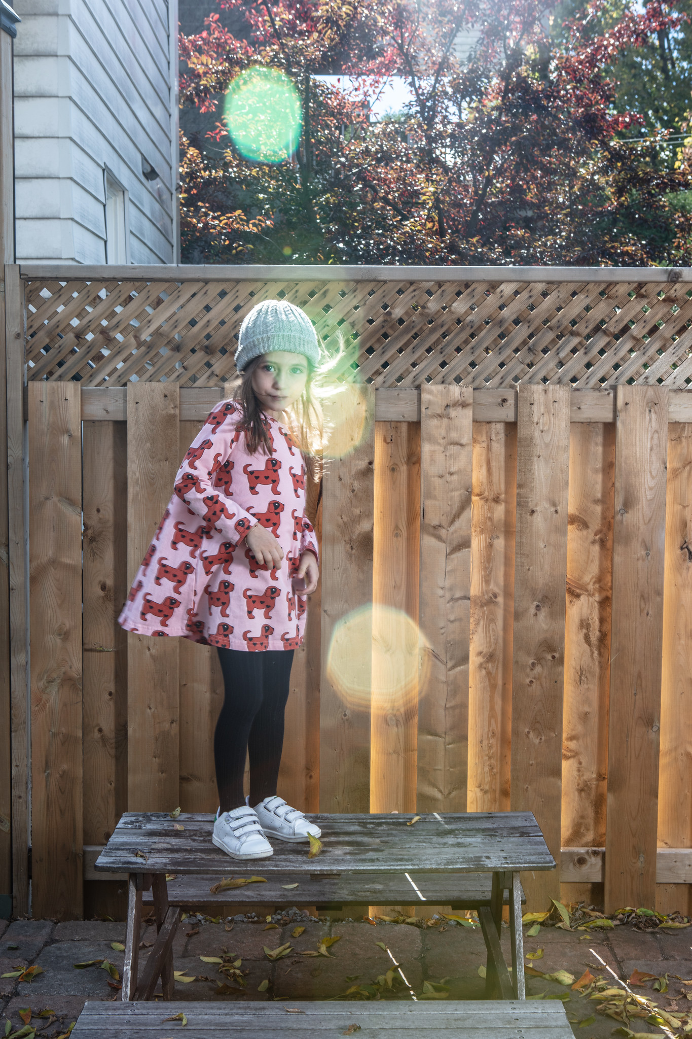 Charlie - Red dogs swing dress Hugo Loves Tiki - Red dogs swing dress
