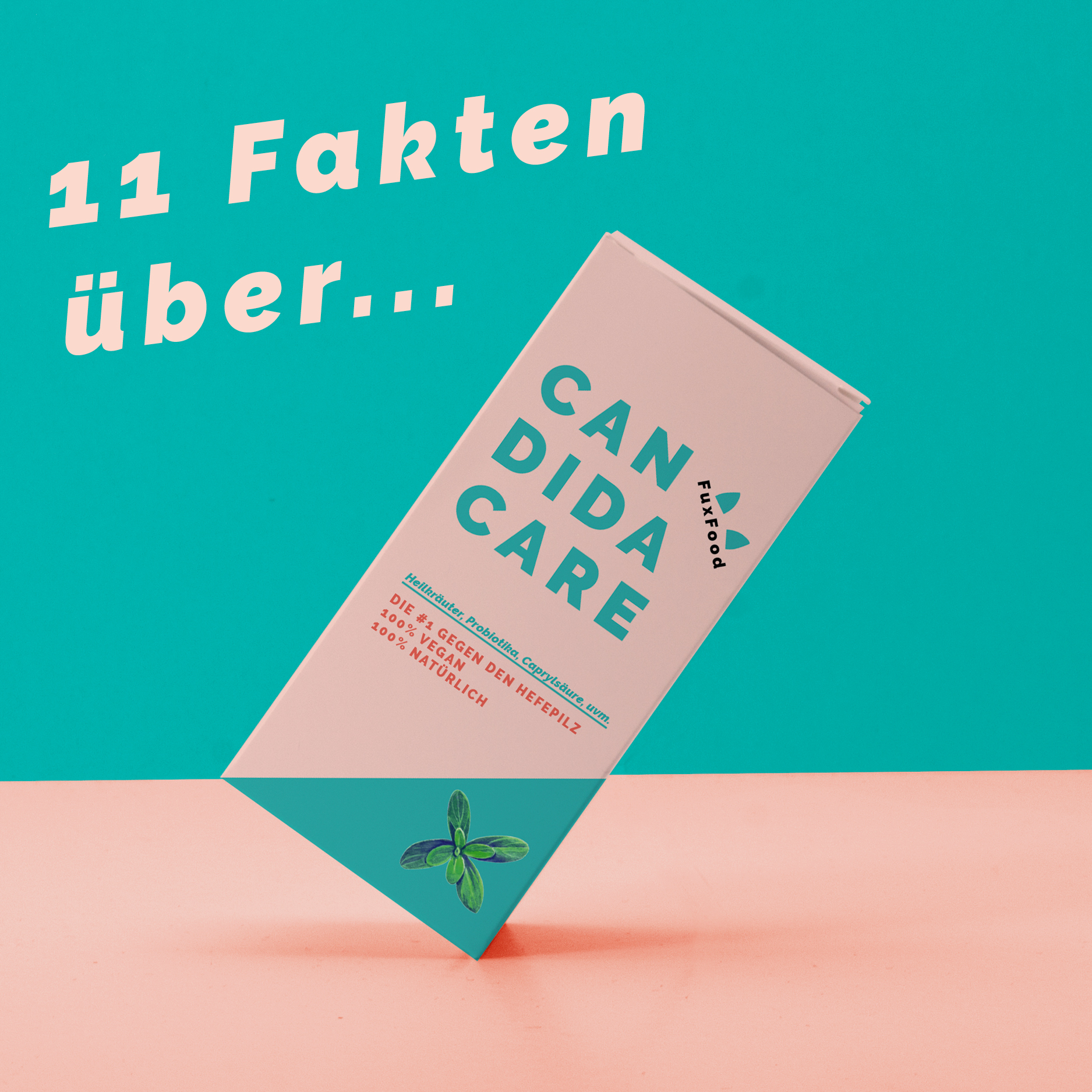 CandidaCare 11 Fakten