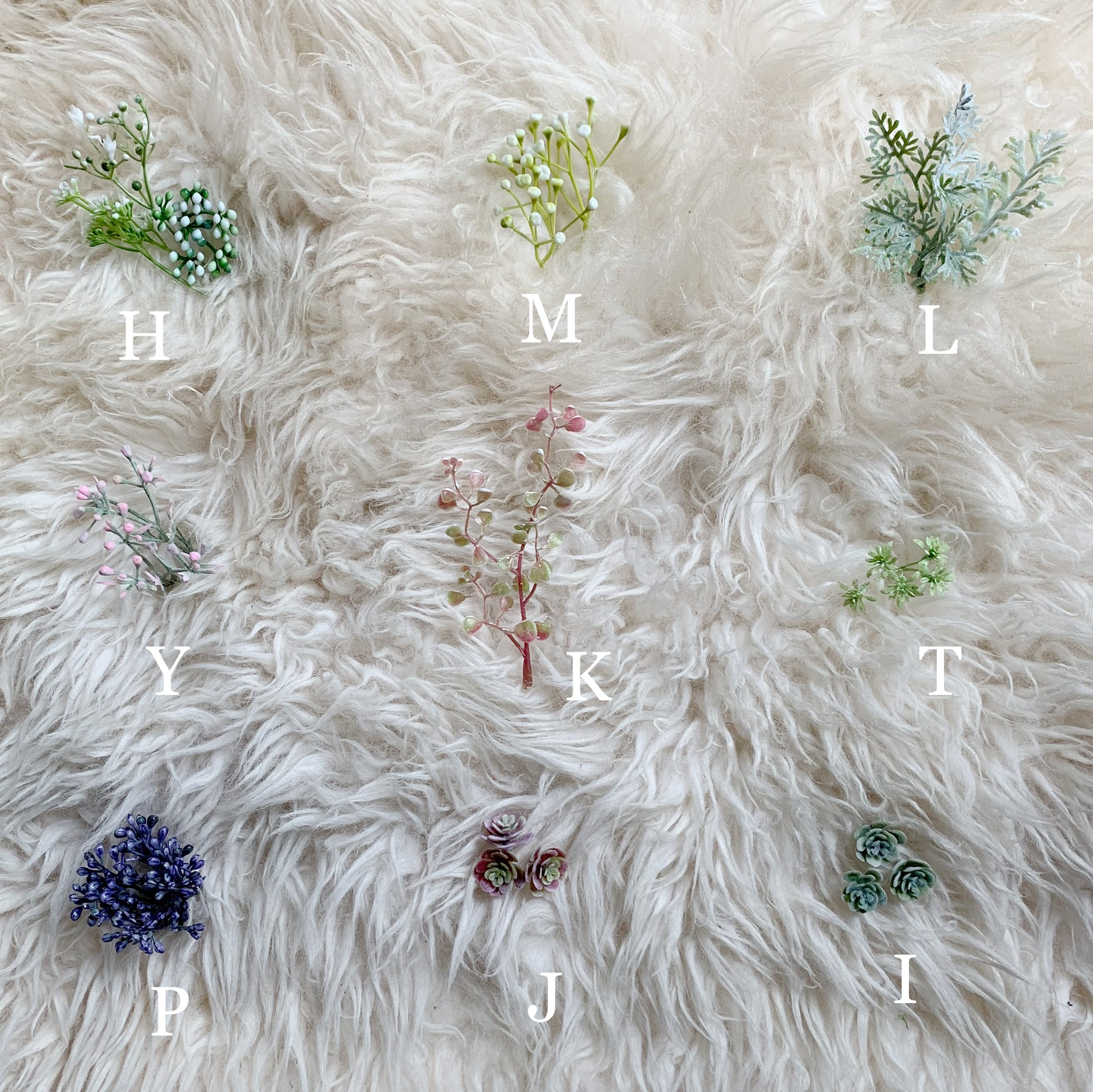 white flower custom options white flower options