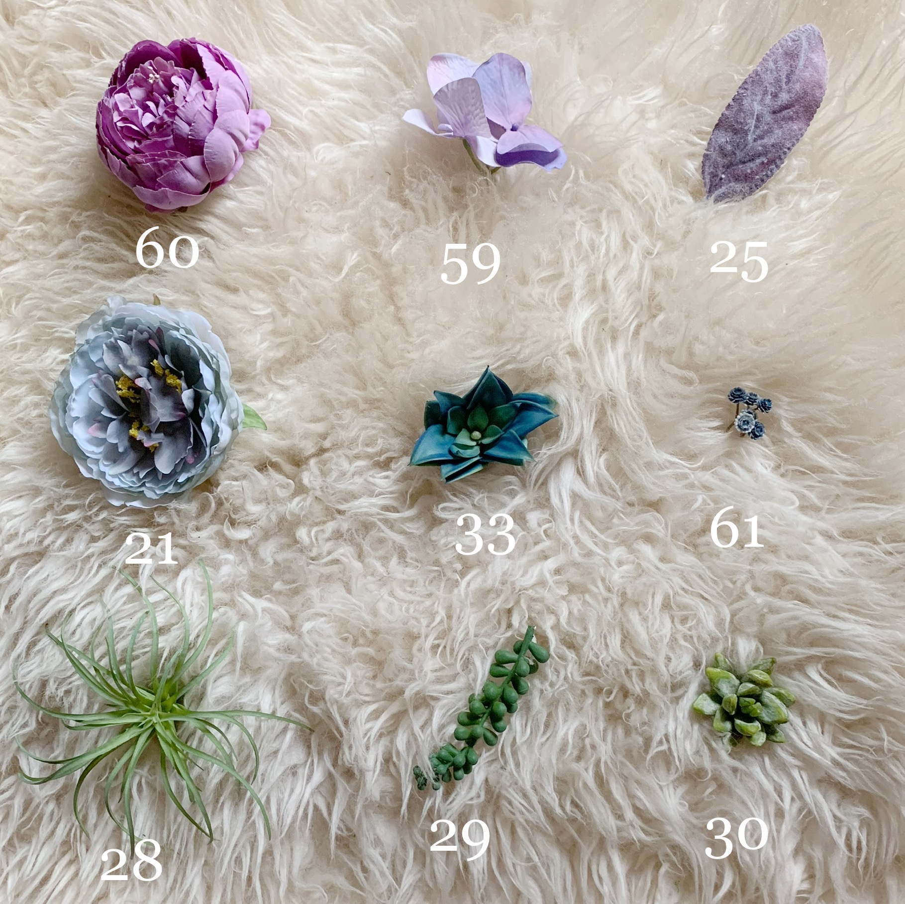 purple blue succulent flower custom options purple blue succulent flower options