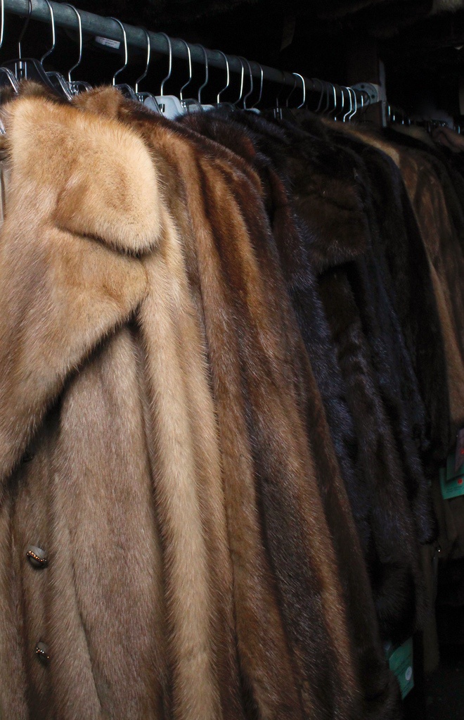Fur Storage and Maintenance – The Real Fur Deal