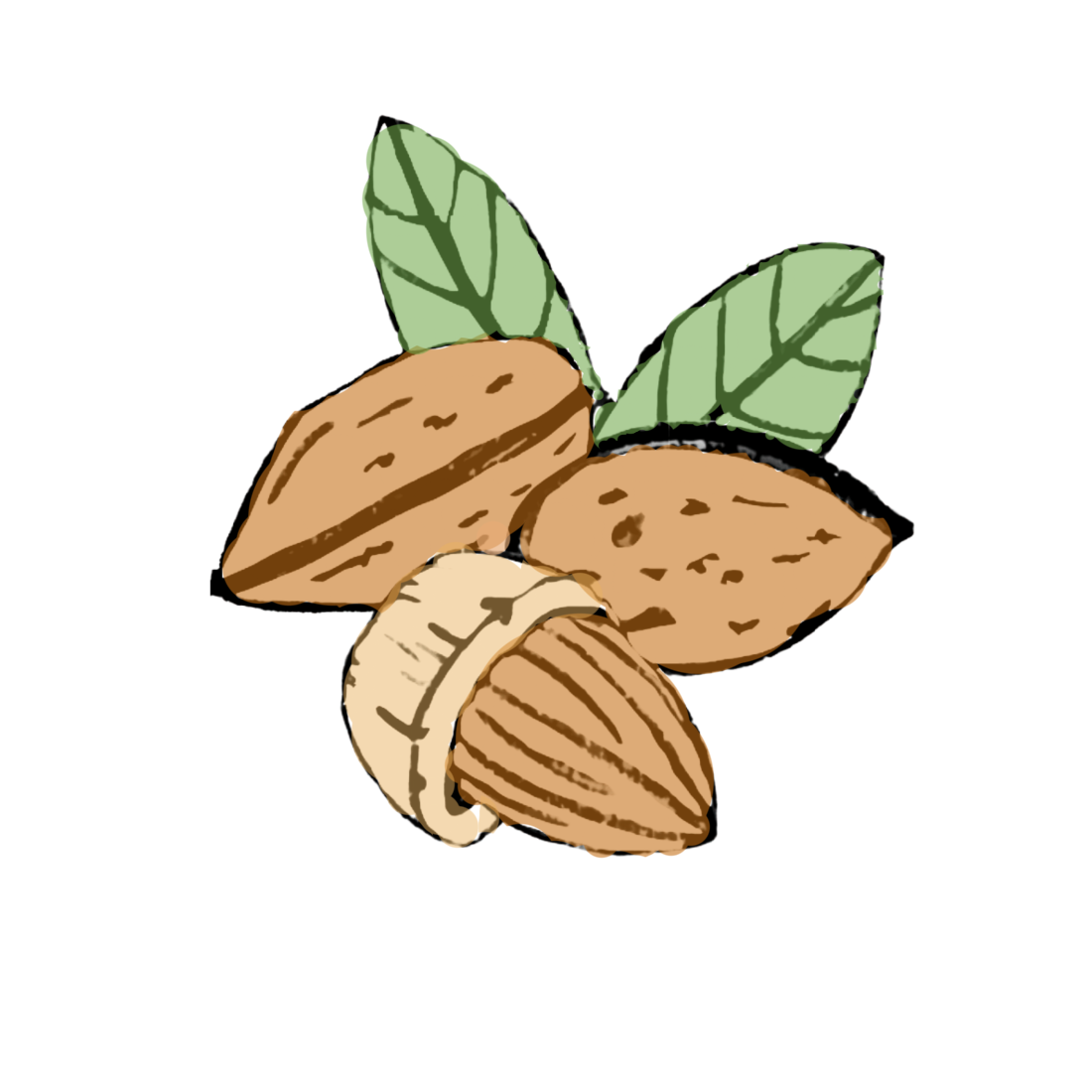 Almond benefits for skin in natural skincare Almond benefits for skin in natural skincare