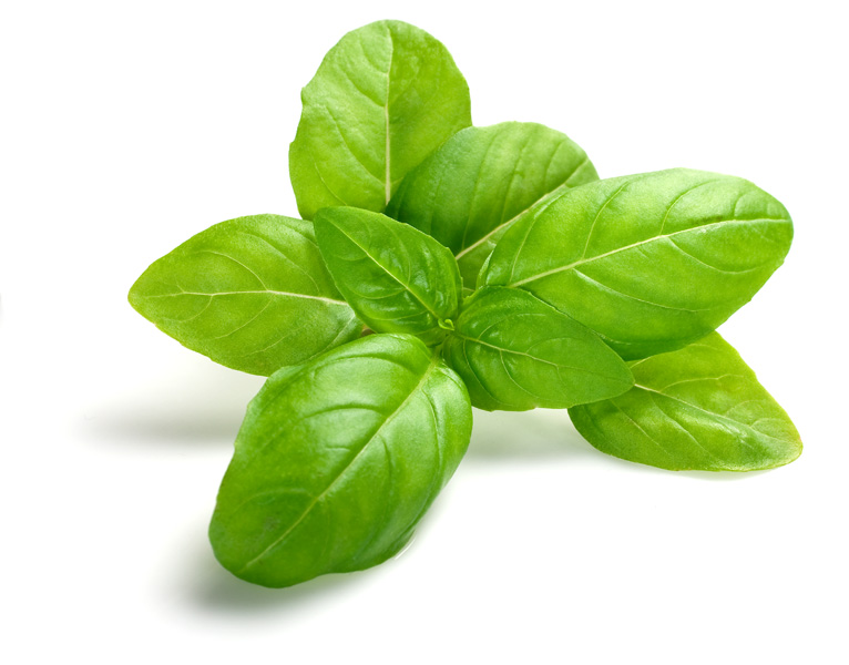 RAWKANVAS SKINCARE NATURAL PLANT BASED VEGAN INGREDIENTS RAWKANVAS SKINCARE NATURAL PLANT BASED VEGAN INGREDIENTS