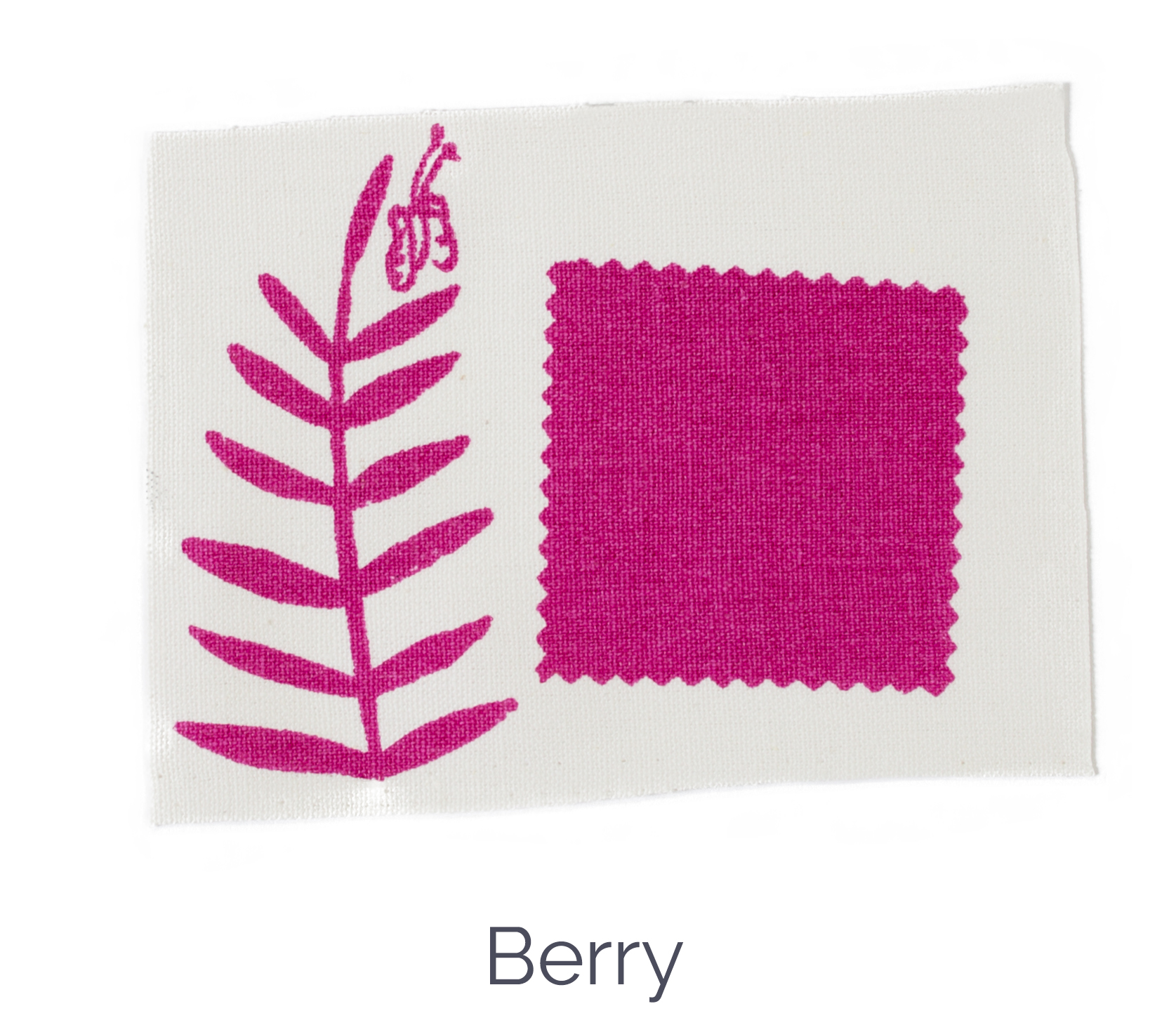 Berry color standard Sara Parker Textiles
