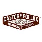 Castor & Pollux Castor & Pollux