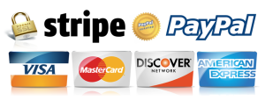 Stripe Paypal Visa Mastercard american express