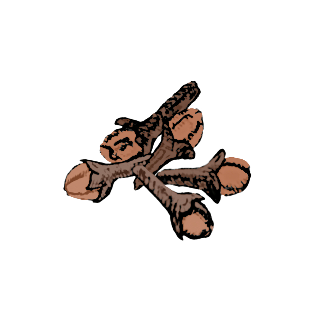 Clove benefits for skin clove bud natural skincare benefits