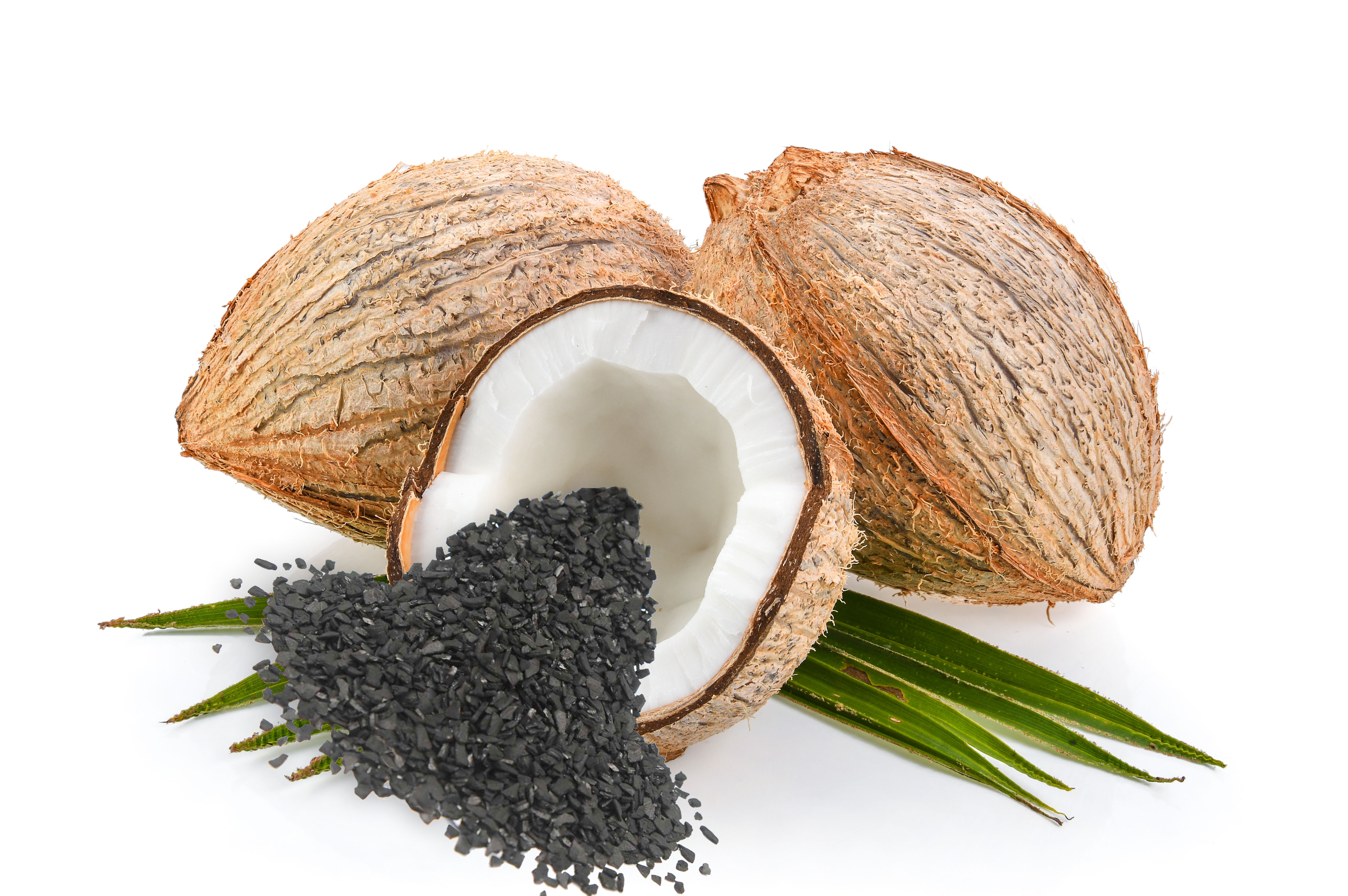 coconut bulk activated carbon