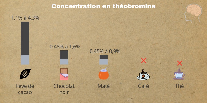 Quantité de caféine dans le café, le maté, le red bull, le matcha et le thé vert Quantité de caféine dans le café, le maté, le red bull, le matcha et le thé vert