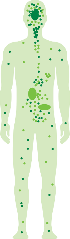 cbd effects on body