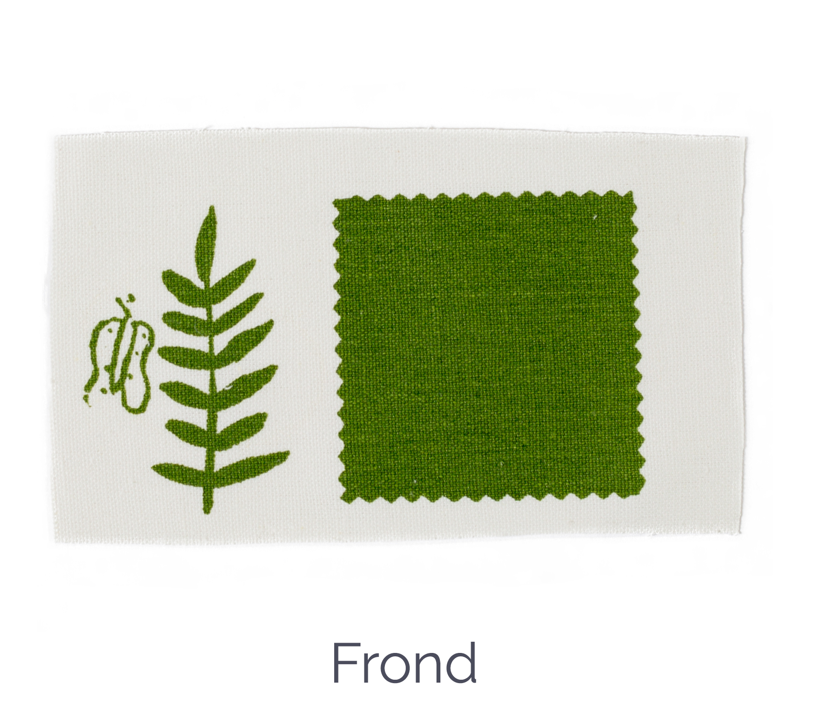 Frond color standard Sara Parker Textiles