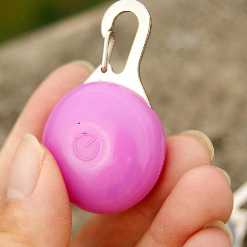 ledcollarlight