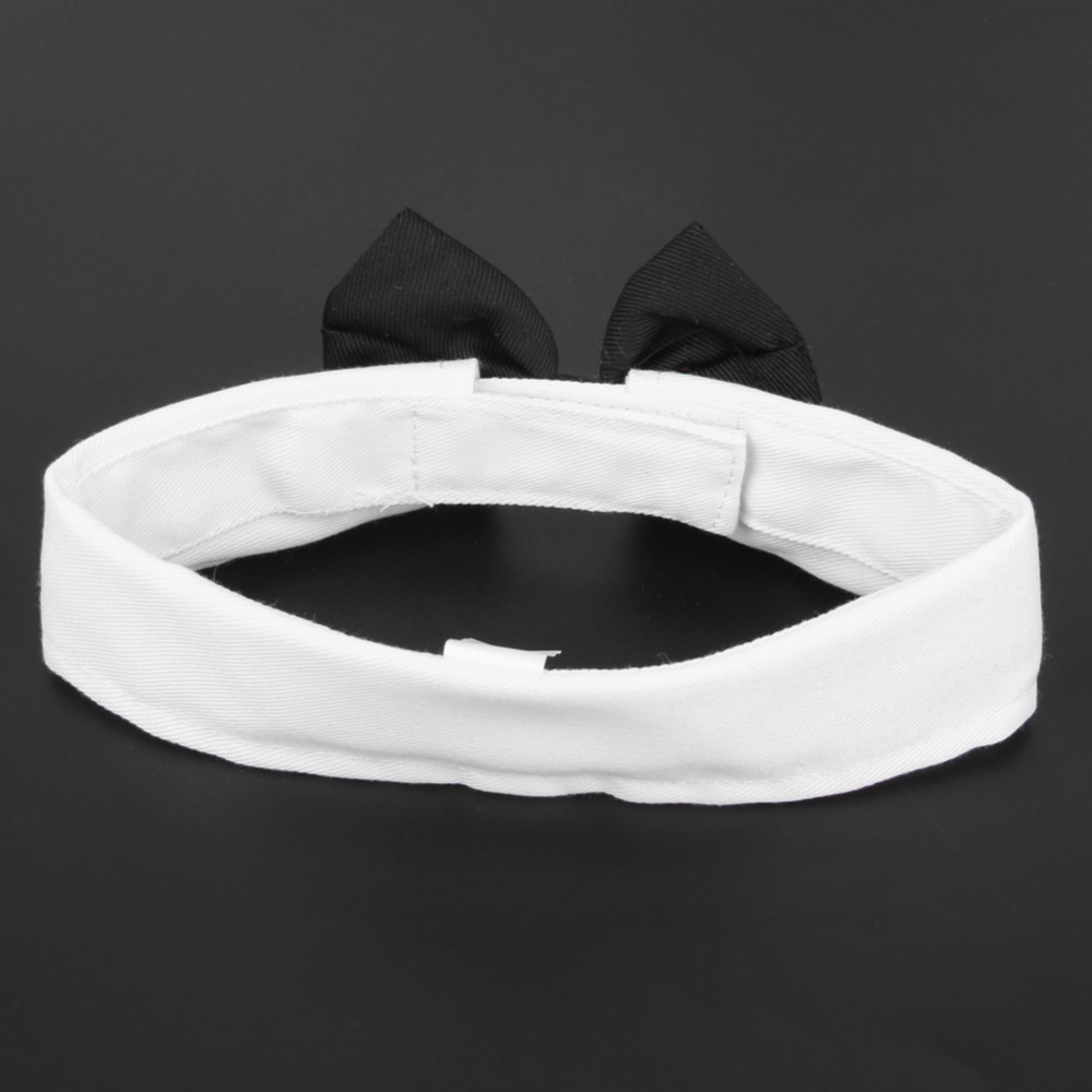 blackbonddogbowtiecollarback