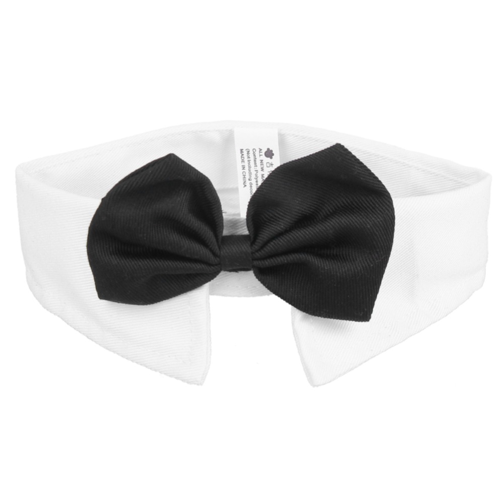 blackbonddogbowtiecollarfront