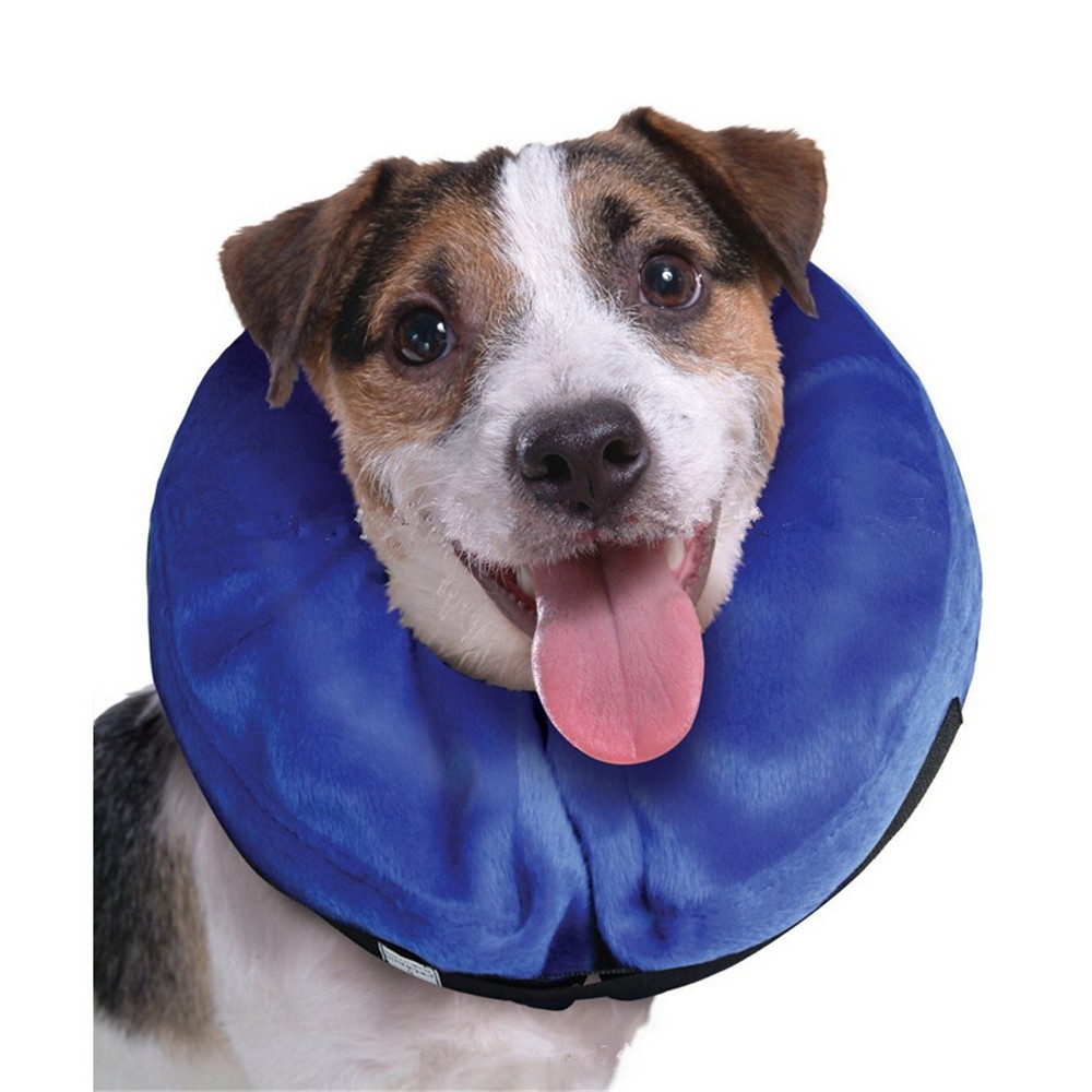 cloudcollarforpets