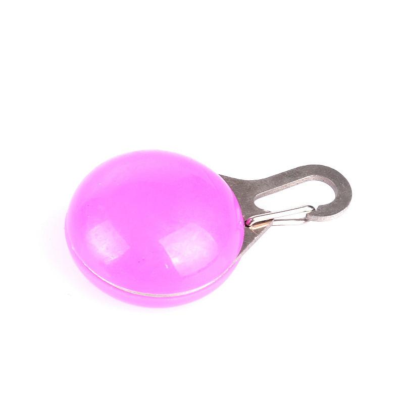 ledcollarlight