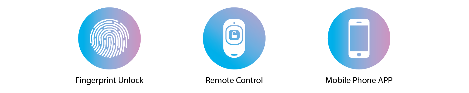 WeLock Ai.One  smart lock