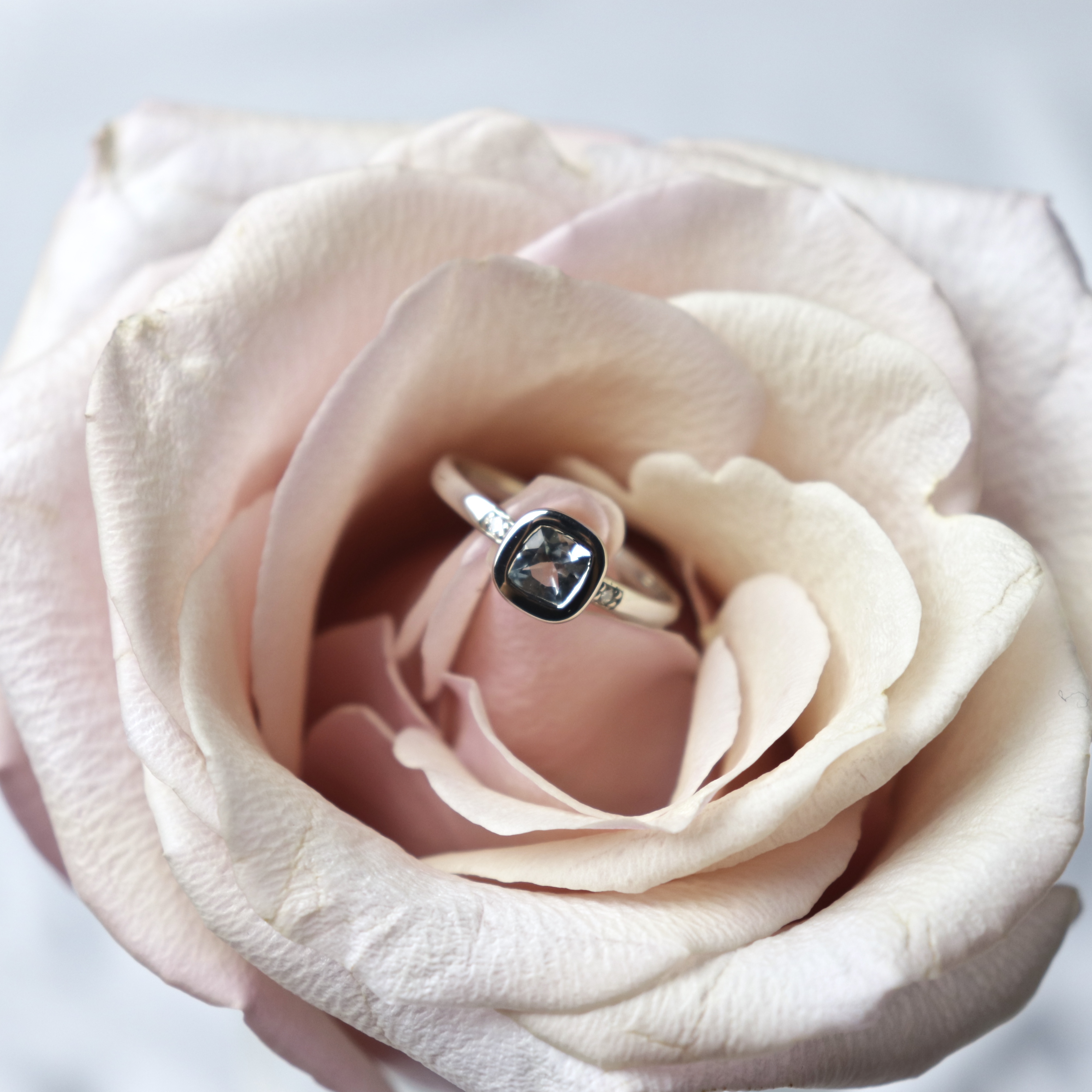 Diamond ring in a rose