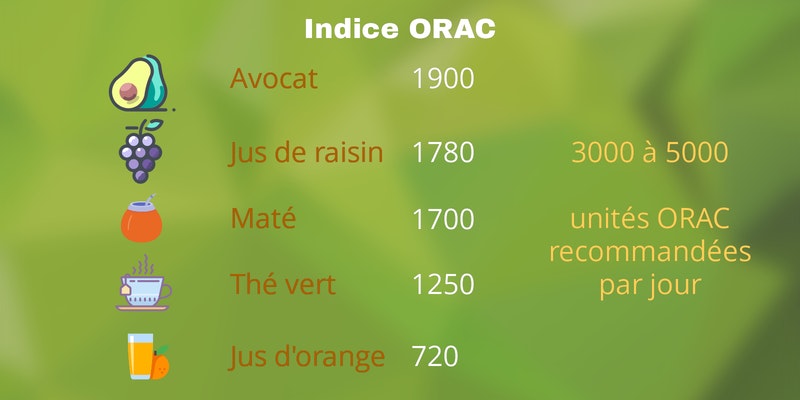 Indice ORAC du maté - Antioxydant Indice ORAC du maté - Antioxydant