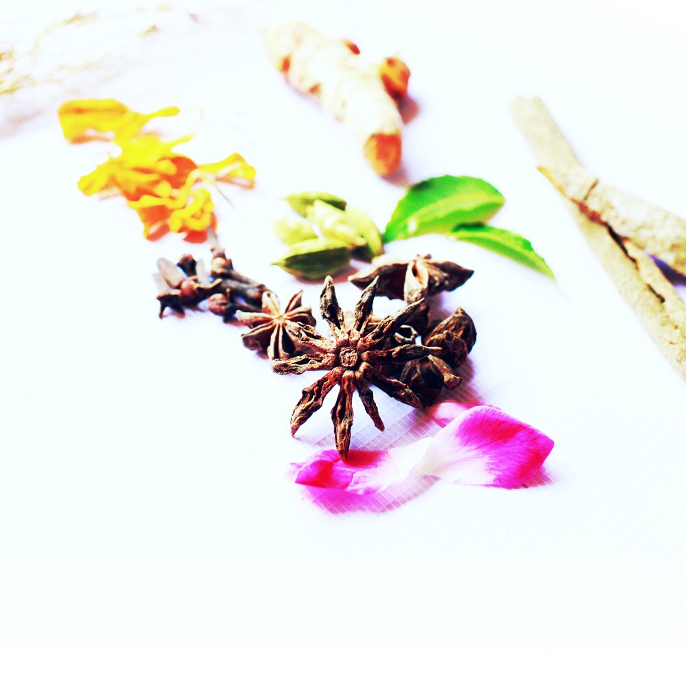 Healing Ayurveda for Skin and Antiaging Natural Ingredients for Taila Clean Beauty Healing Ayurveda for Skin. Anti-aging Natural Ingredients for Taila Clean Beauty