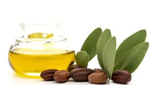 Botanicals Beauty Jojoba Oil Botanicals Beauty Jojoba Oil