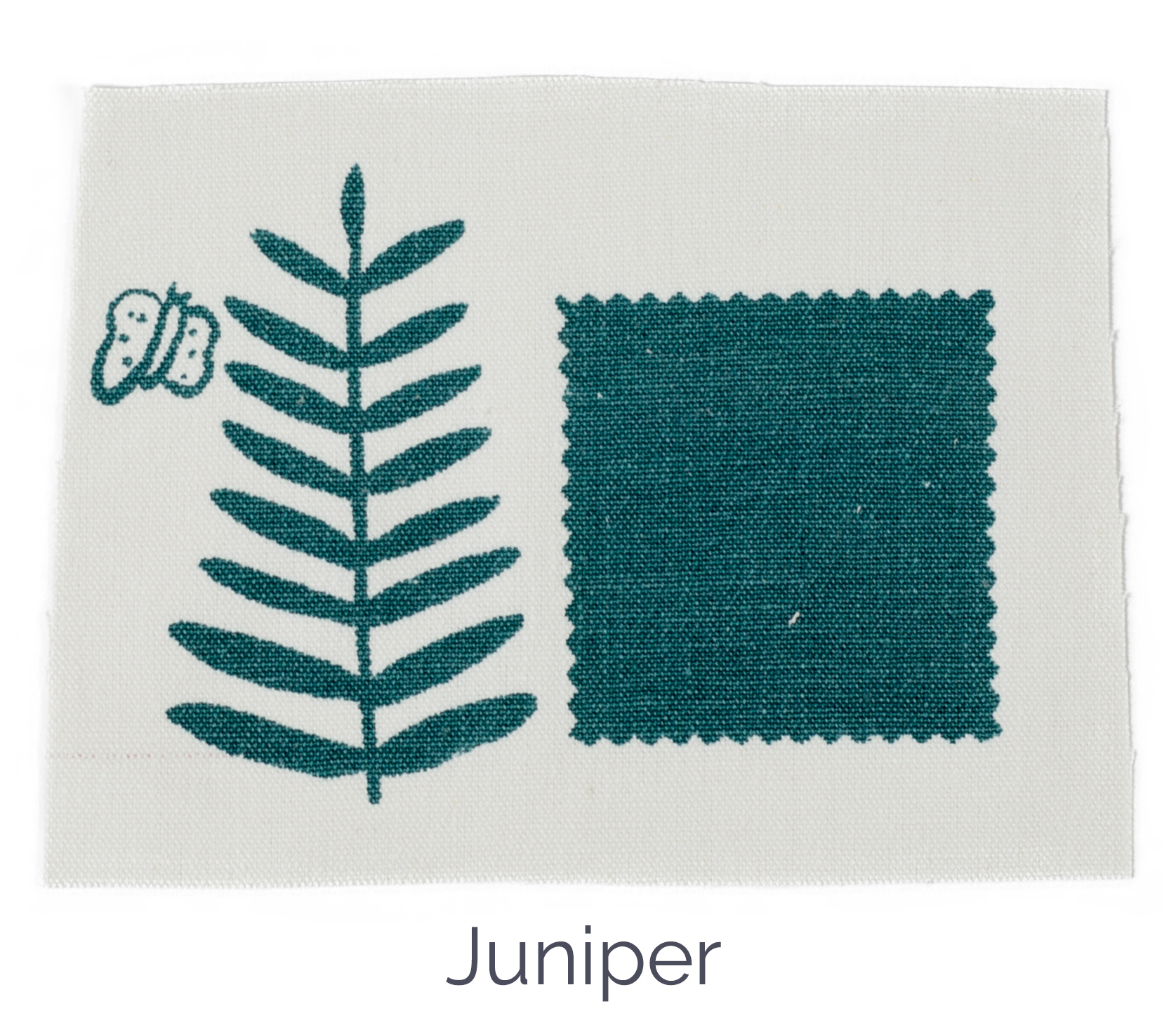 Juniper Color Standard