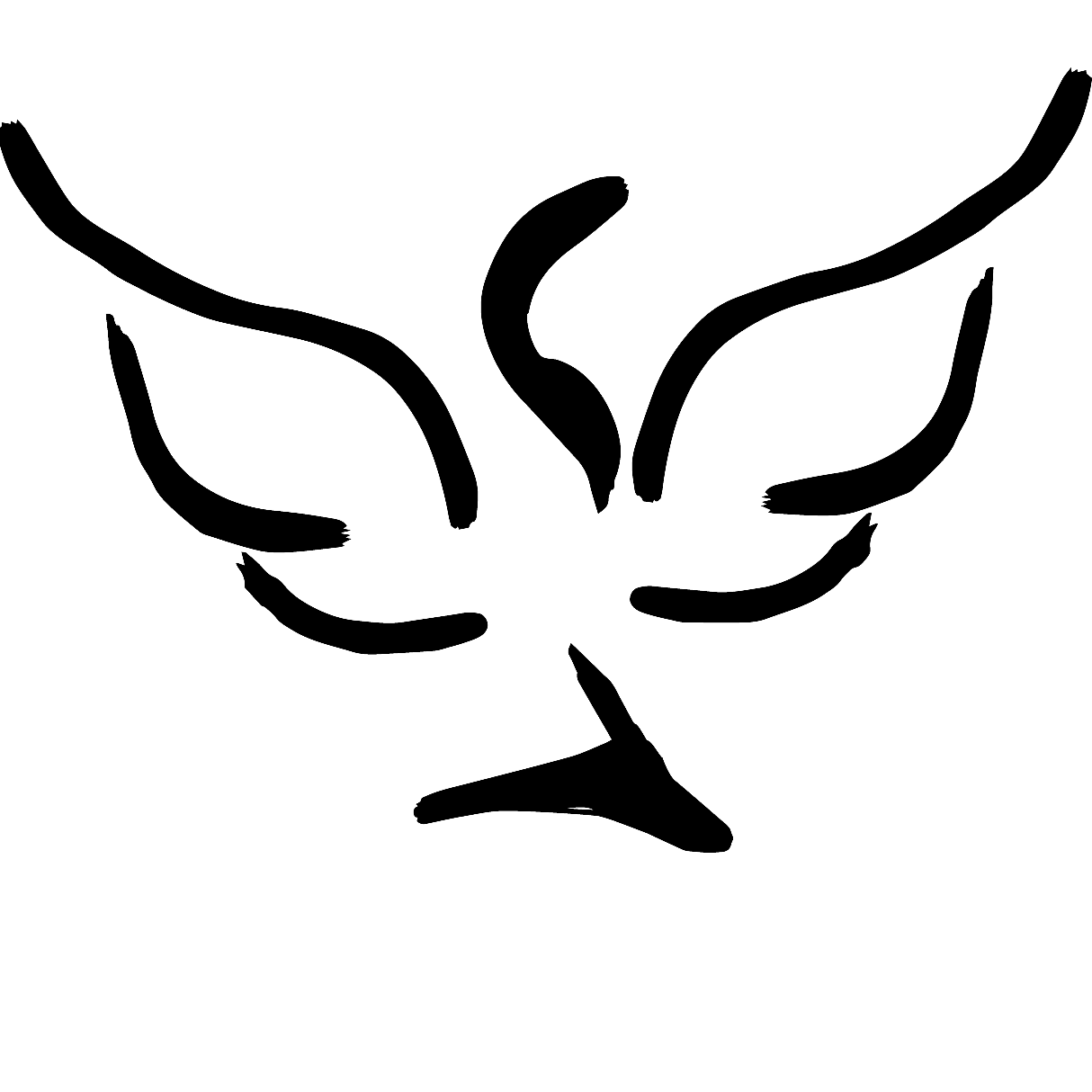 Logo niroji noir