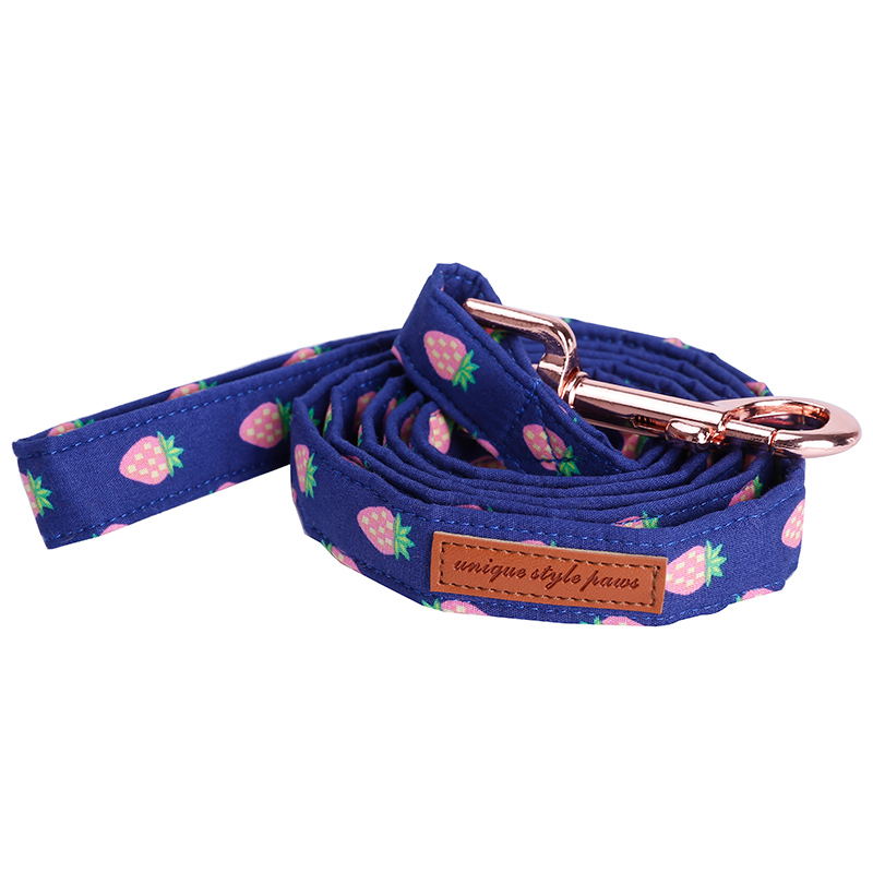 bluepineappledogbowtiecollar