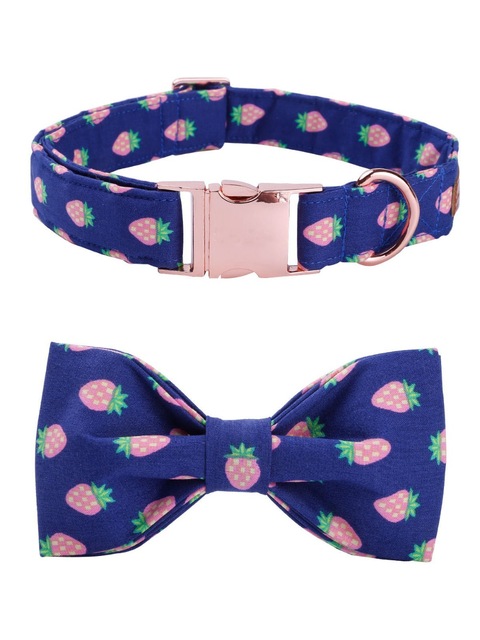 bluepineappledogbowtiecollar
