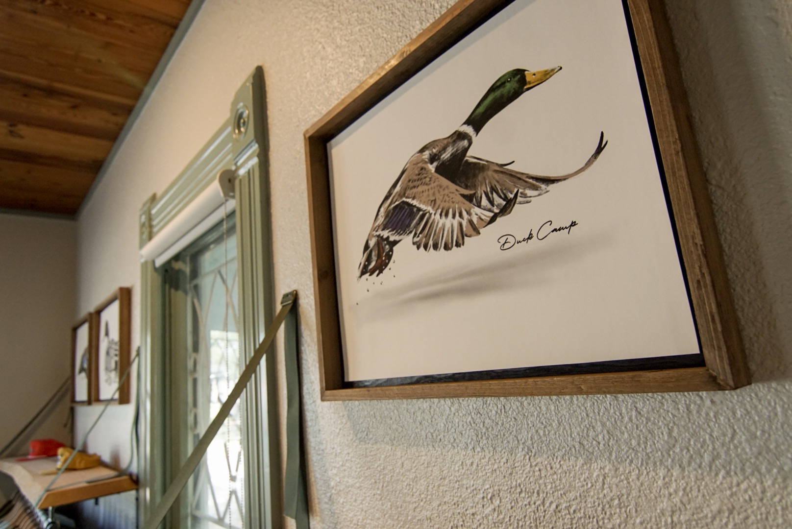 Duck Camp Showroom Bird Illustrations