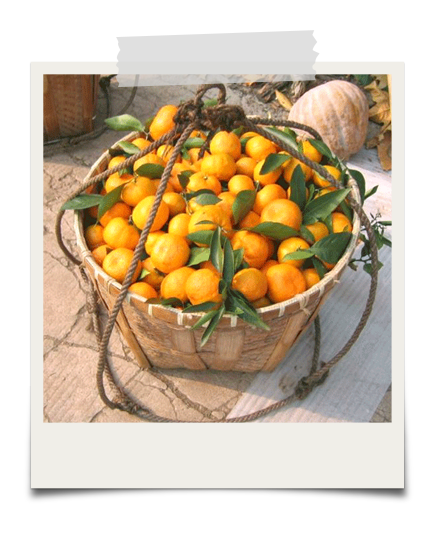Organic Mandarin Oranges – Edward & Sons Trading Co.