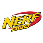 Nerf Dog Nerf Dog