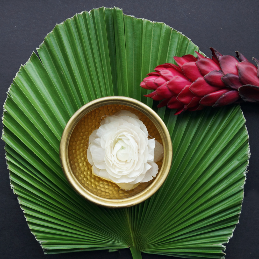 Ayurveda Ingredients used in Taila Luxury Natural Clean Skincare Ayurveda Ingredients used in Taila Luxury Natural Clean Skincare