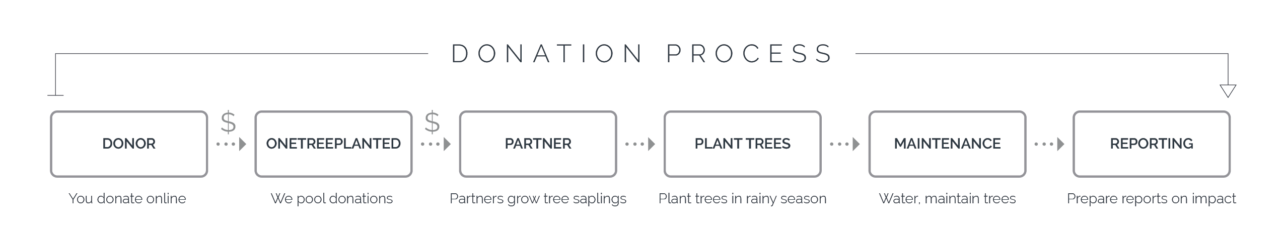 About Us One Tree Planted How Much Does It Cost To Plant A Tree