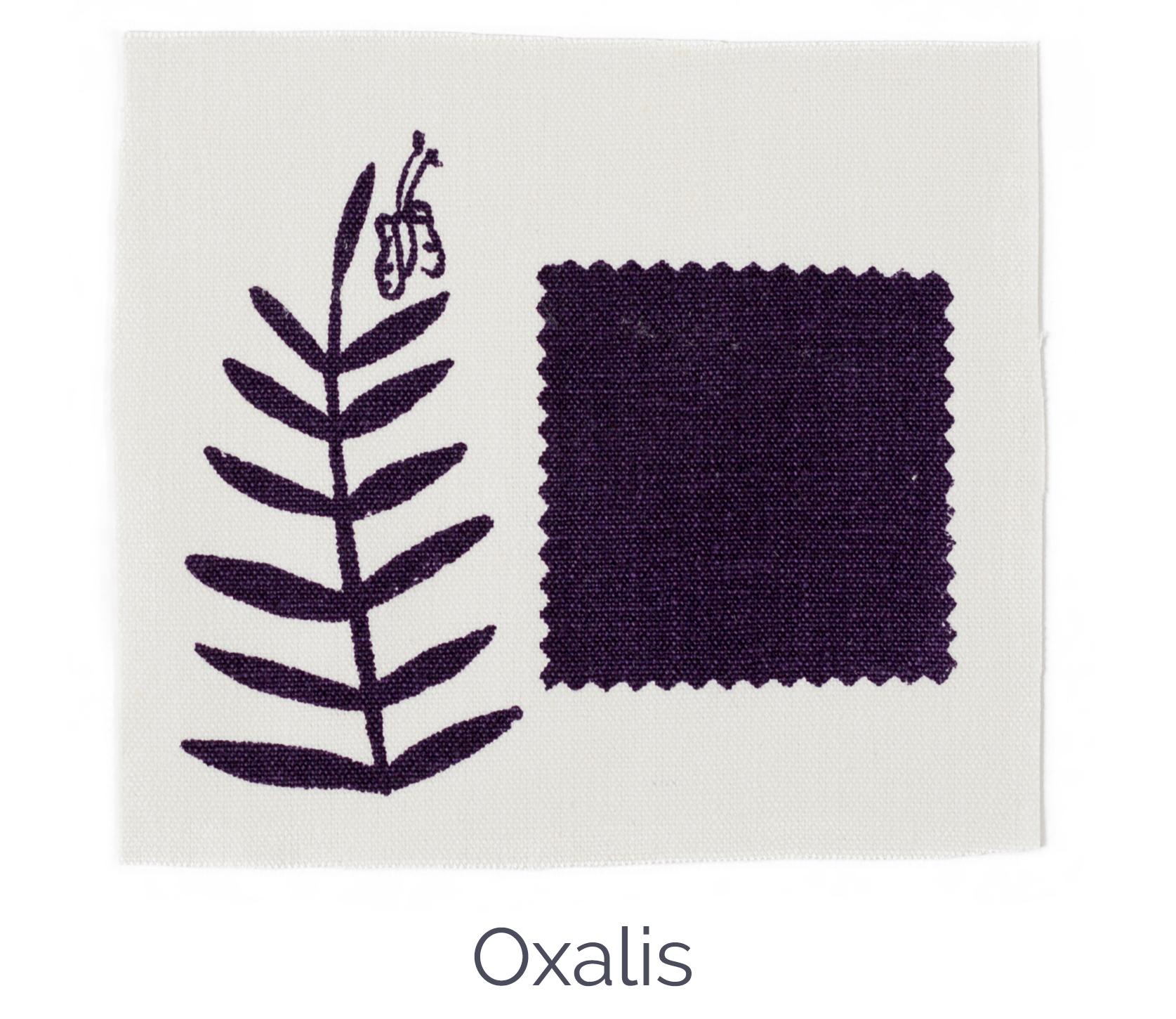 Oxalis color standard Sara Parker Textiles