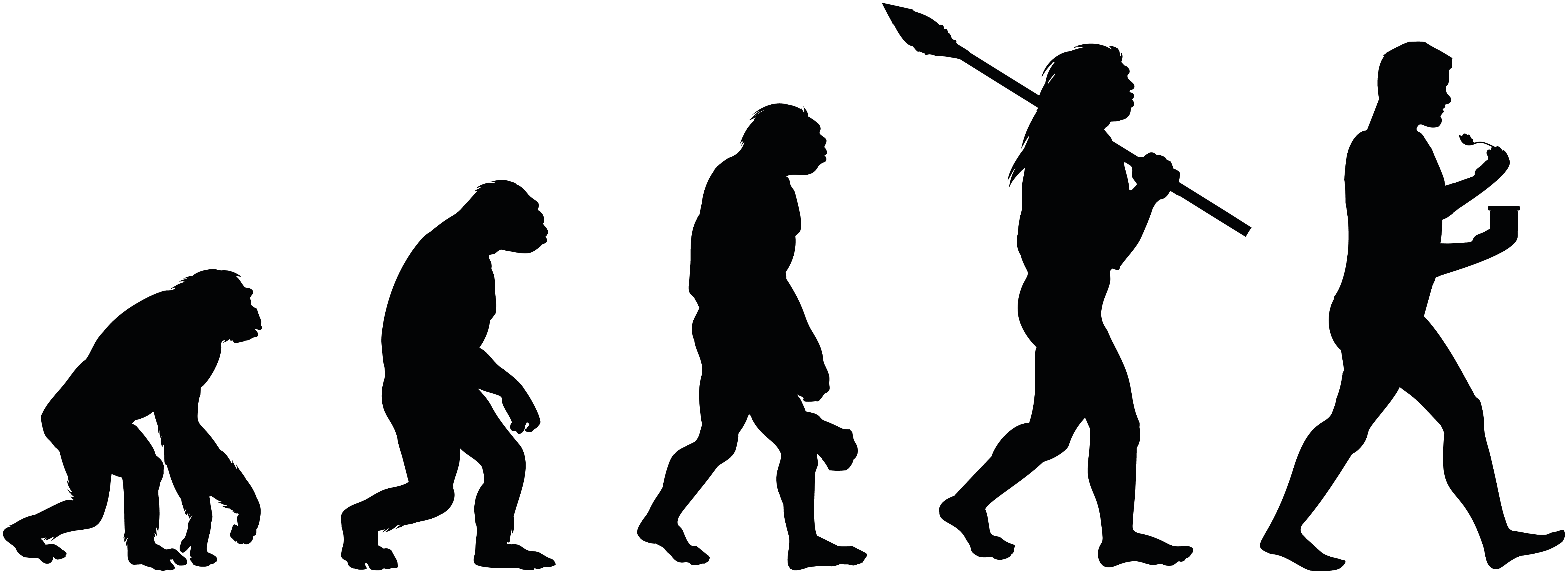 Pakery - (R)evolution