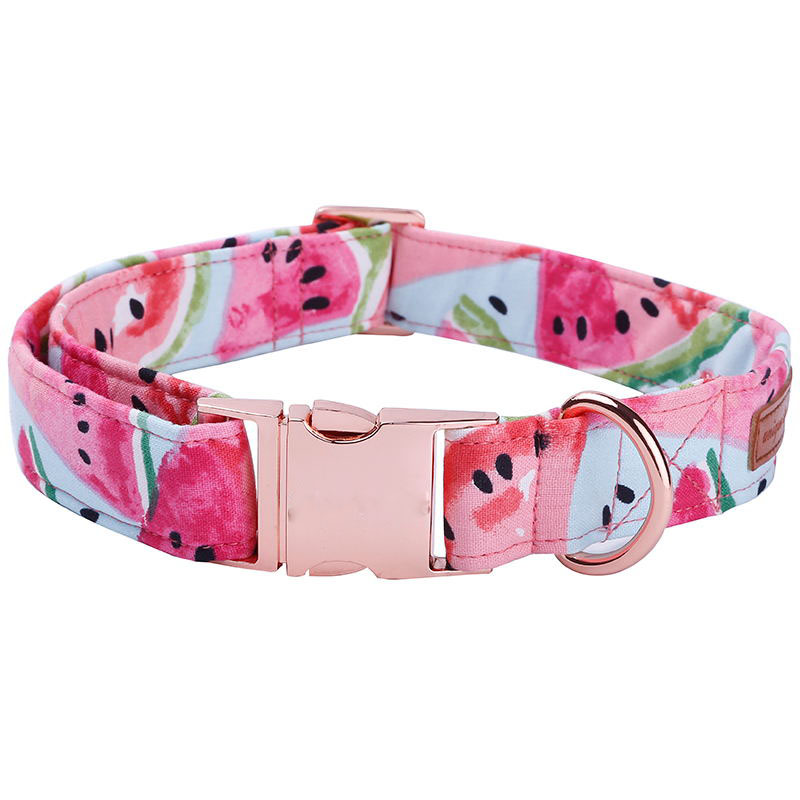 watercolorwatermelondogbowtiecollar