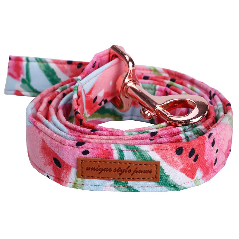 watercolorwatermelondogbowtiecollar
