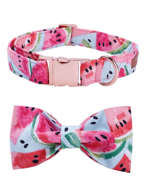 watercolorwatermelondogbowtiecollar