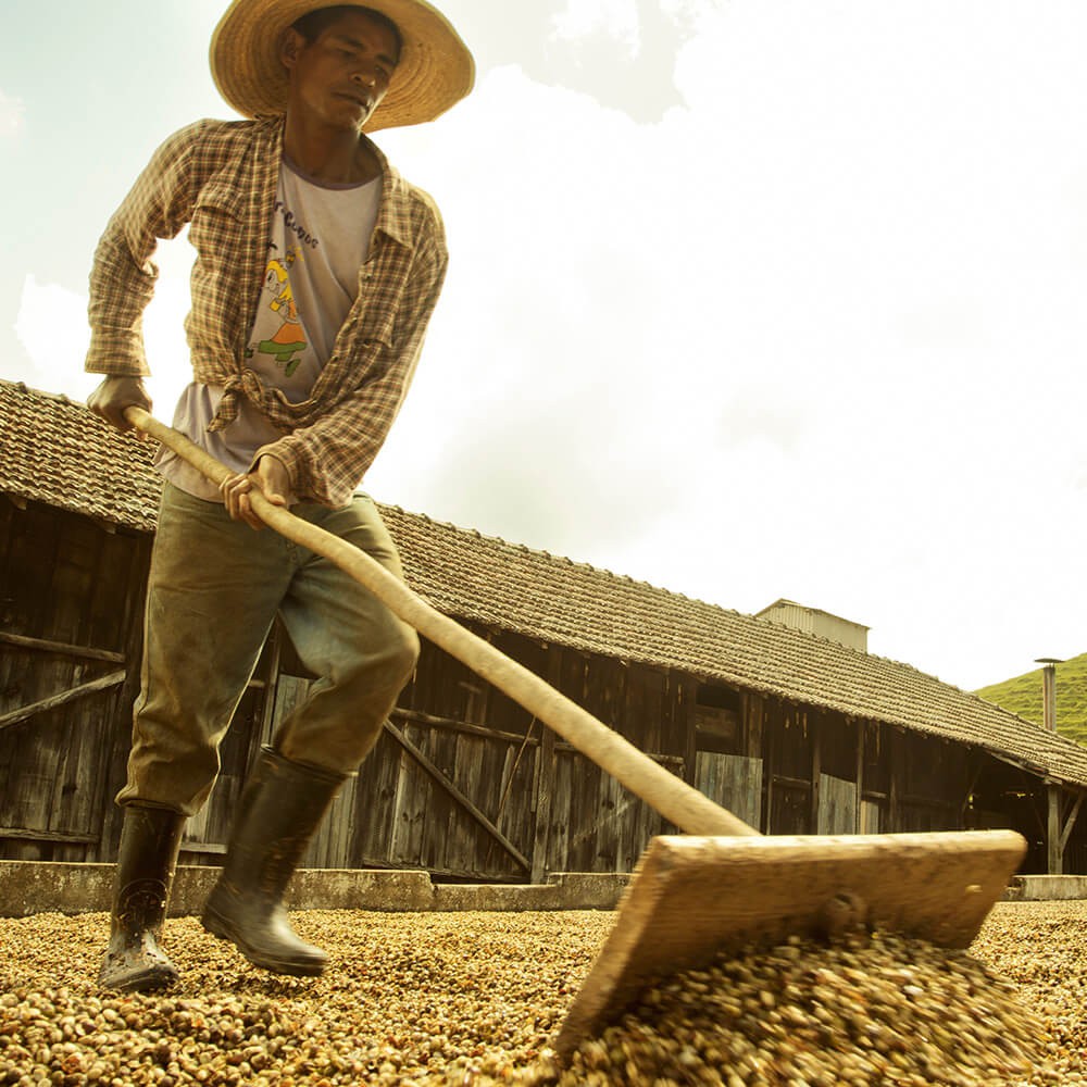 Direct Fair Trade