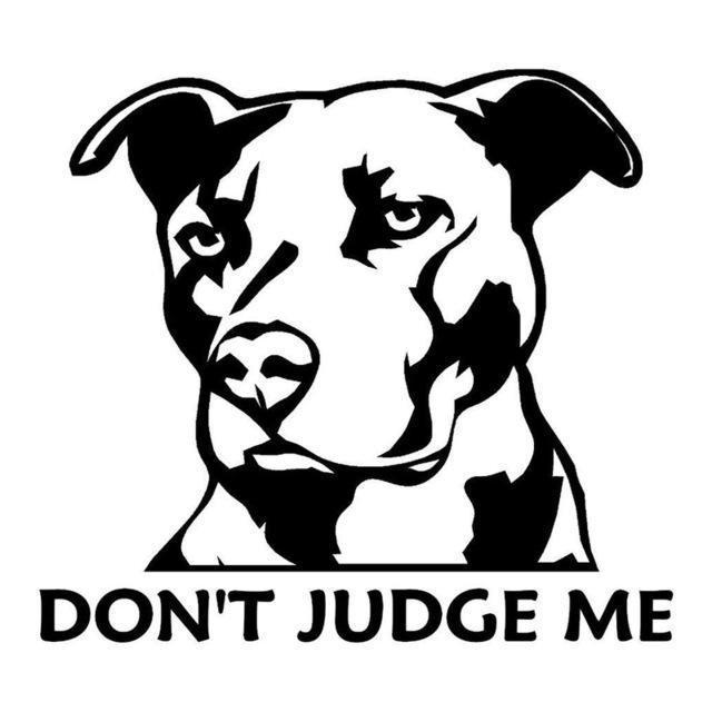 pitbulldontjudgemevinylsticker
