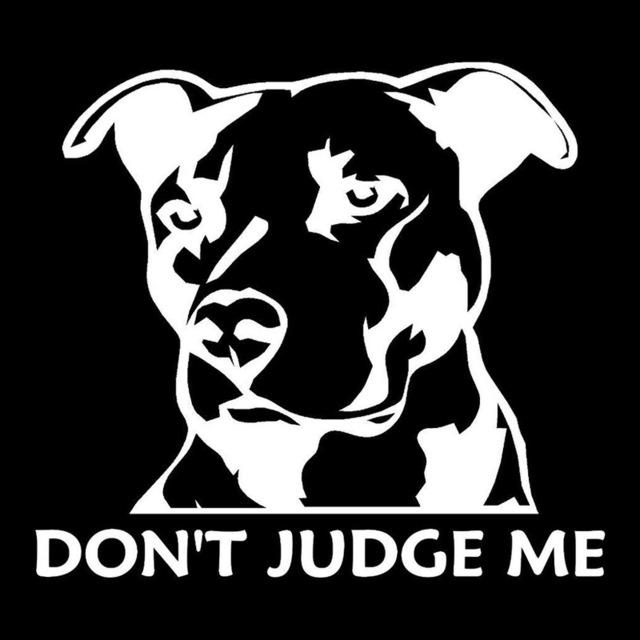 pitbulldontjudgemevinylsticker