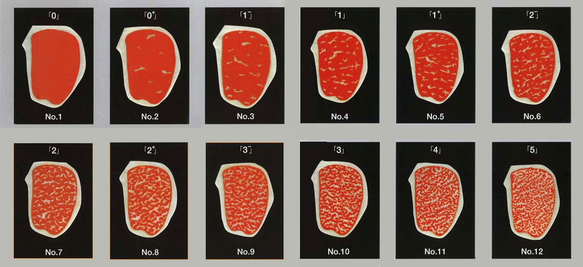 Beef Marbling Standard Scale