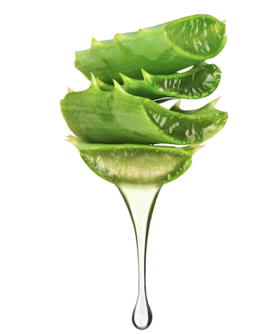 Aloe vera natural deodorant ingredient