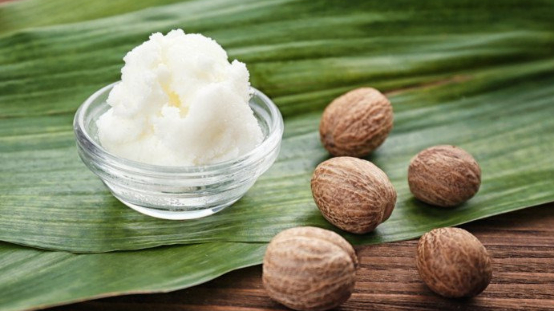 Botanicals Beauty Shea Butter Botanicals Beauty Shea Butter