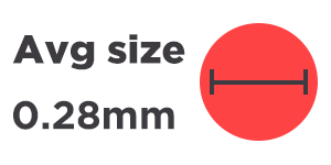 Average dust mite size