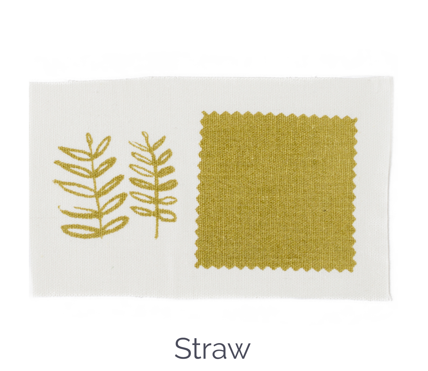 Straw color standard Sara Parker Textiles