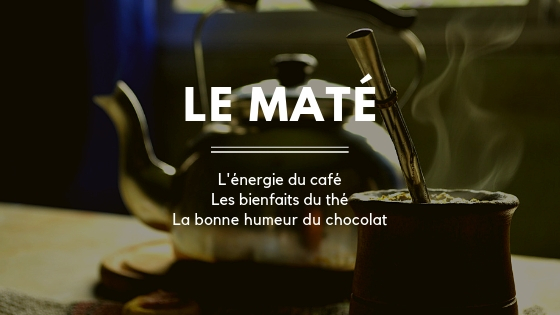 Les bienfaits du maté: l'énergie du café, les bienfaits du thé, la bonne humeur du chocolat Les bienfaits du maté: l'énergie du café, les bienfaits du thé, la bonne humeur du chocolat