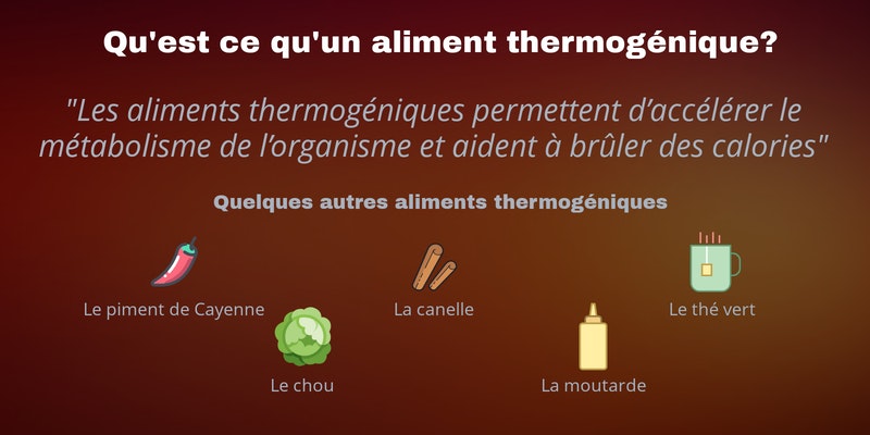 Qu'est ce qu'un aliment thermogénique? Le maté et quelques autres aliments Qu'est ce qu'un aliment thermogénique? Le maté et quelques autres aliments