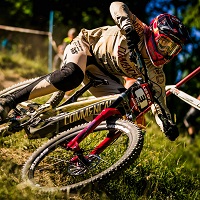 Amaury Pierron Amaury Pierron